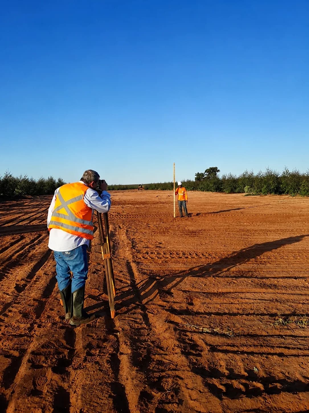 Topógrafo da Cerne Florestal operando o nível, com auxiliar segurando a baliza em área de solo preparado